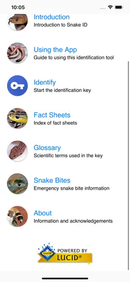 Game screenshot Australian Snake ID apk