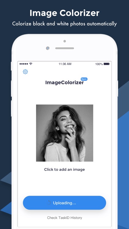 Image Colorizer