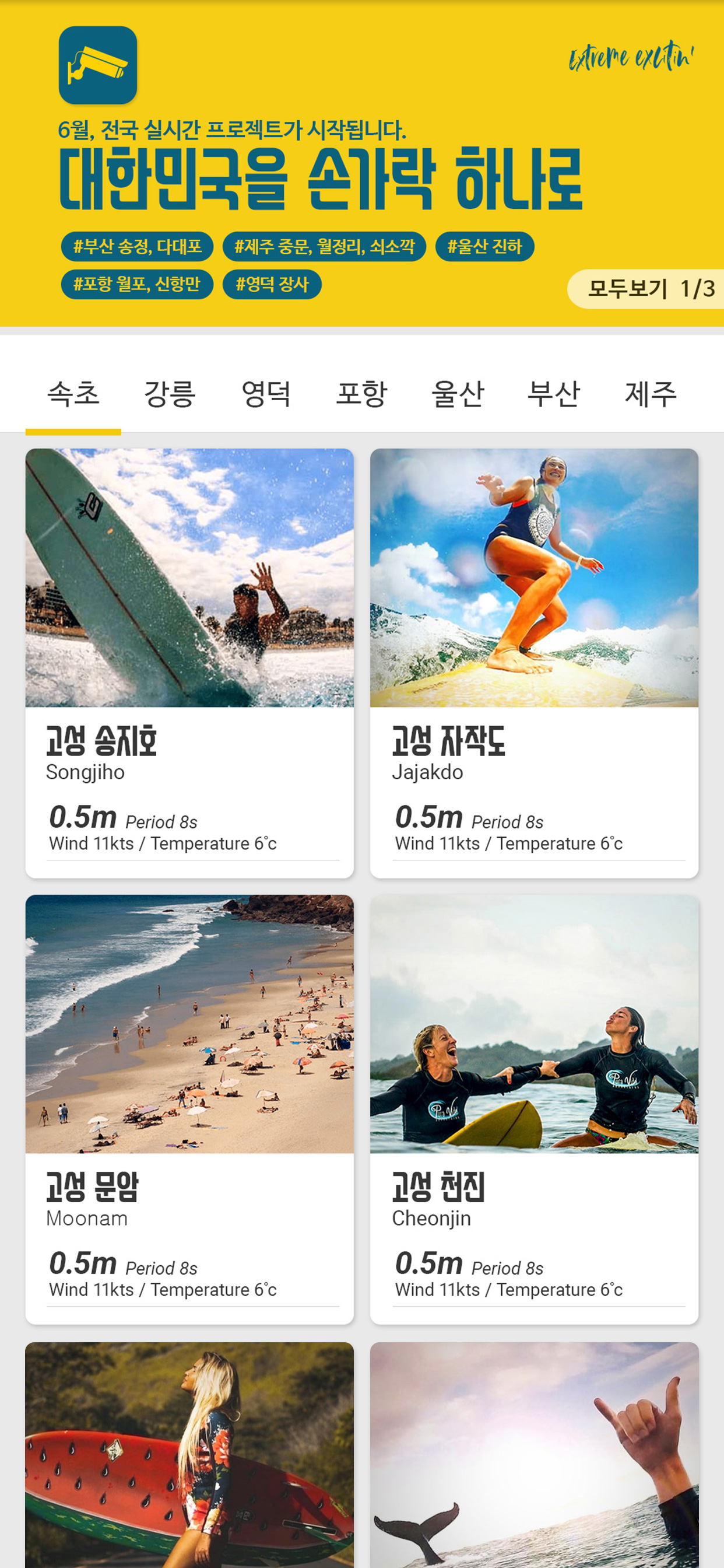 바나나엑스 (BANANA X)