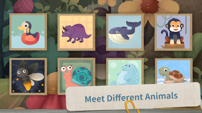 Dodoo Animal Park Screenshot