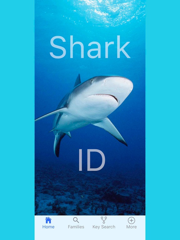 Screenshot #4 pour SharkID