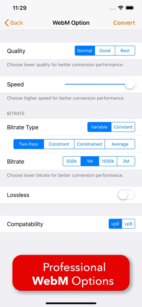 Video 2 WebM Cross Converter