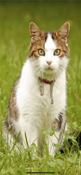 Game screenshot Dünyayı Keşfet apk