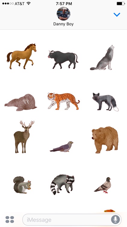 Jazzy World Animals screenshot-4