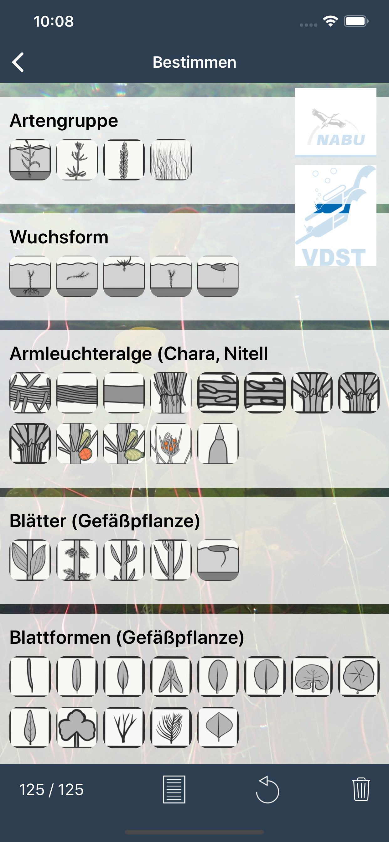 Tauchen-App Wasserpflanzen