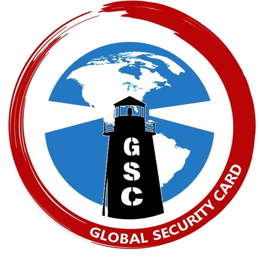 Global Security Card Icon