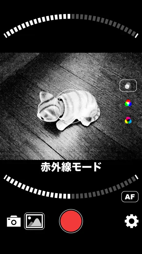 Live Photo Converter