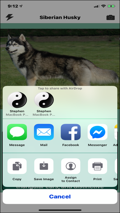 Screenshot #5 for Dog Breed Identifier