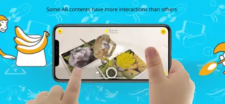 Wow 4D+