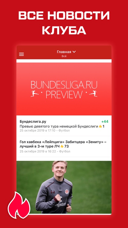 Бундеслига. Чемпионат Германии