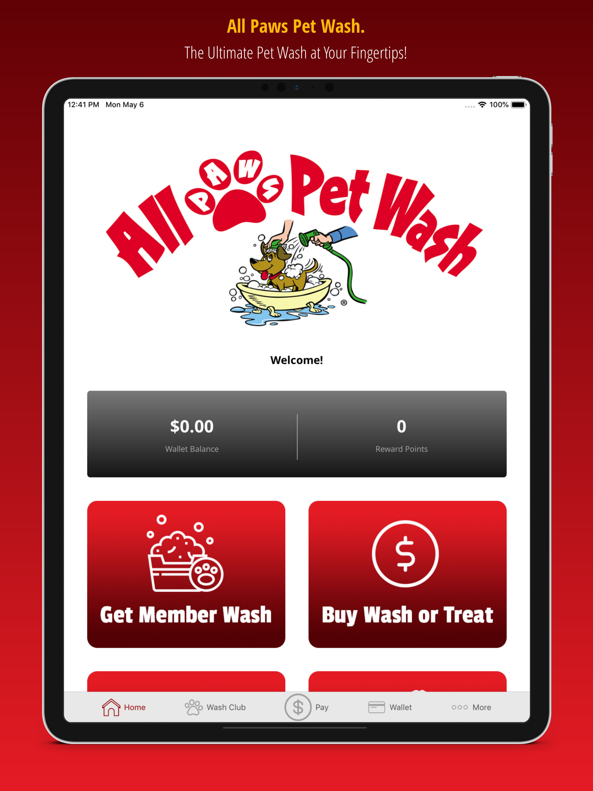 All Paws Pet Wash