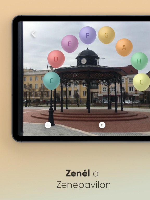 Screenshot #6 pour KanizsApp