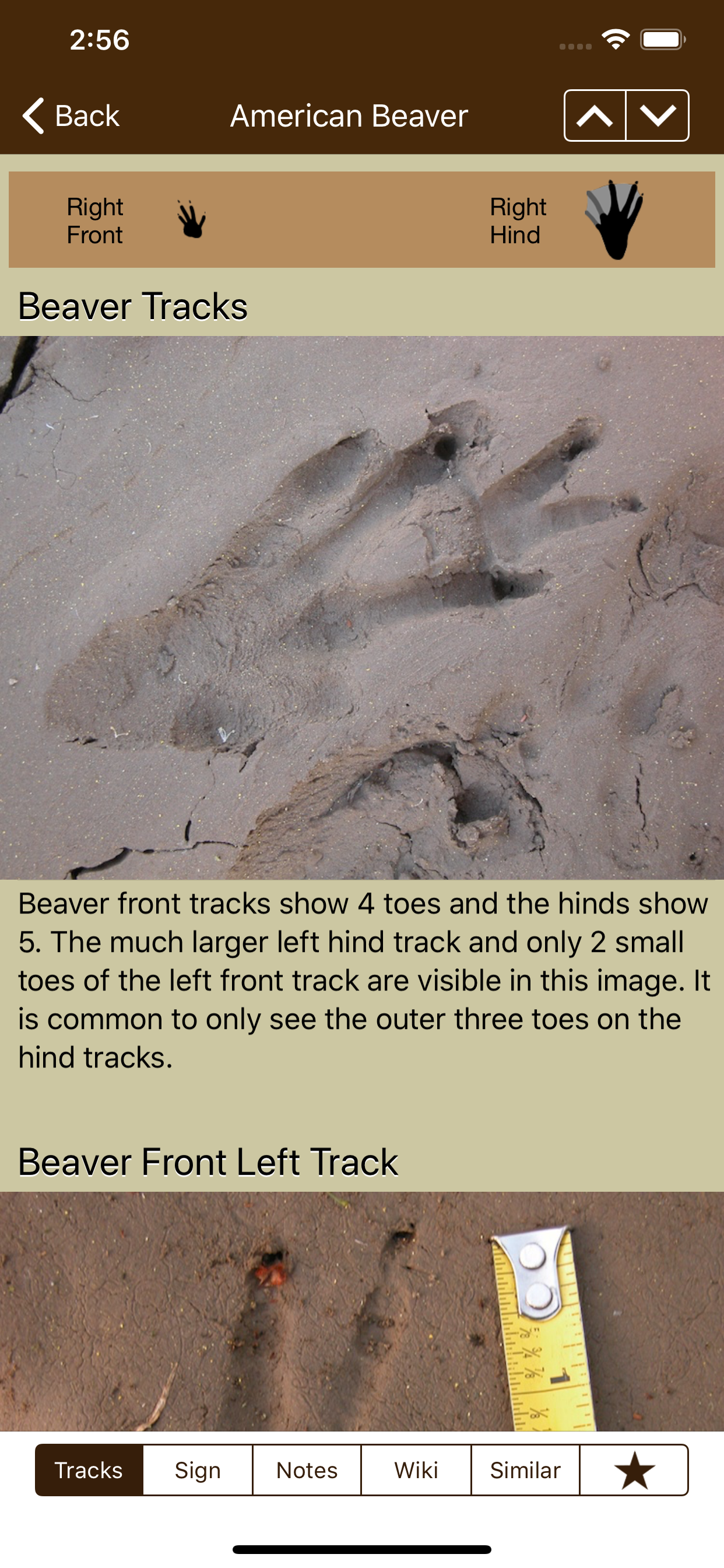 iTrack Wildlife Pro