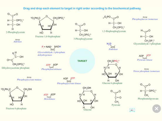 Screenshot #5 pour Glycolysis