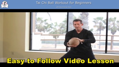 Tai Chi Ball Beginner Screenshot