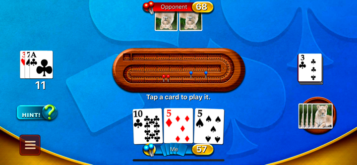 Cribbage - Crib & Peg Game screenshot 4