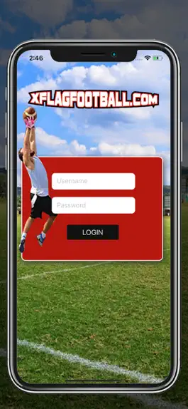 Game screenshot xFlagFootball mod apk