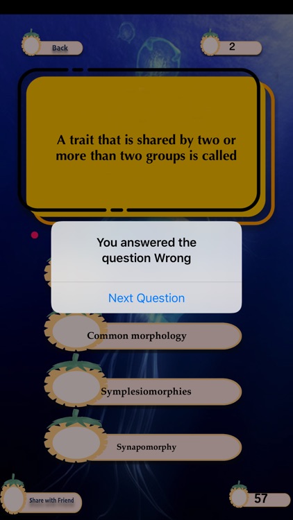 The Phylum Quest screenshot-4