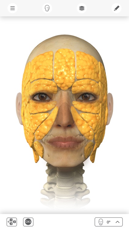 Interactive Anatomy - SG