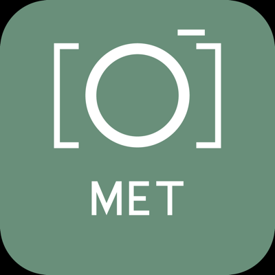 MET Guide & Tours