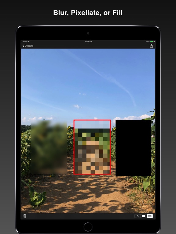 Screenshot #4 pour Obscure - share safely