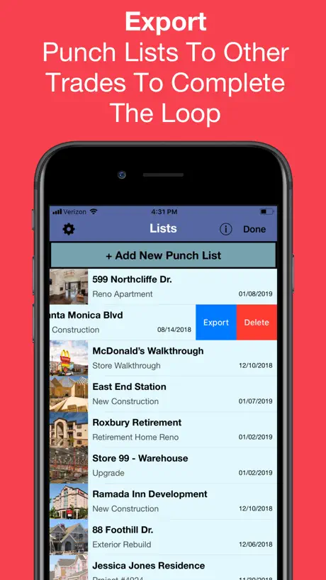 Punch List & Site Audit Report