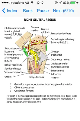 Game screenshot Anatomy Lectures Limbs hack