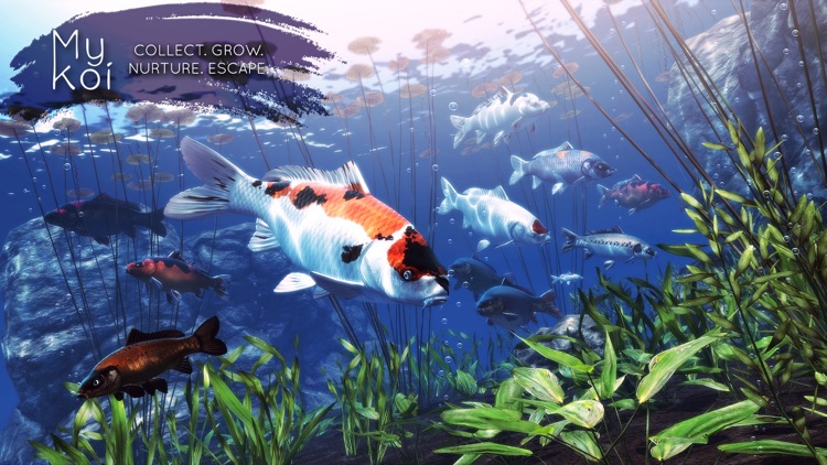 My Koi screenshot-0