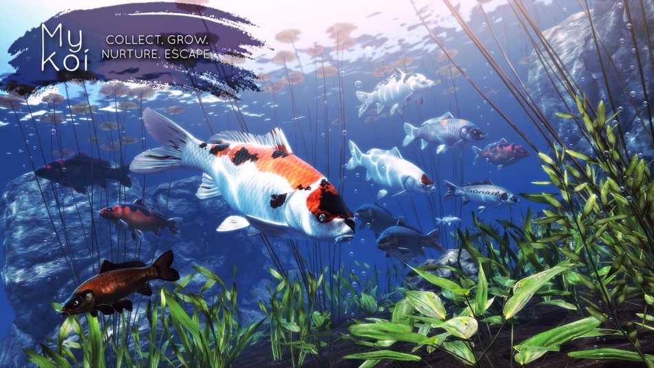 #1. My Koi (iOS) Podle: Sakana Studios