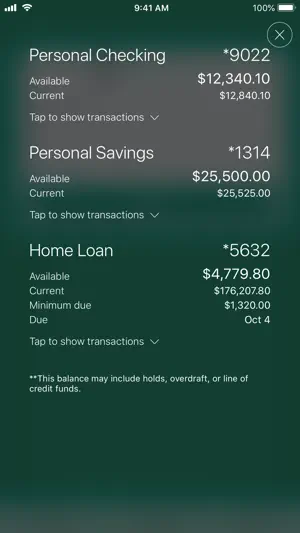 Riegel Federal Credit Union screenshot 1