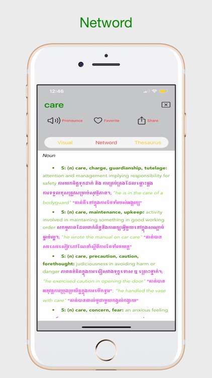 Monisa Netword® screenshot-4