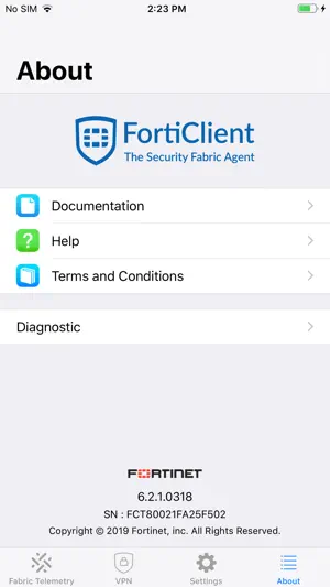 FortiClient screenshot 4