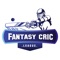 Fantasy Cric League is a game in which the contestants work as the managers of virtual professional cricket teams