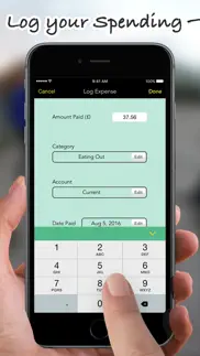 spending log iphone screenshot 2