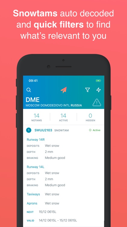 Flyr Preflight Briefing screenshot-3