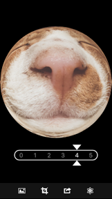 Fisheye Magick screenshot
