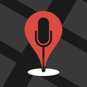 Screenshots (5) Voice Copilot