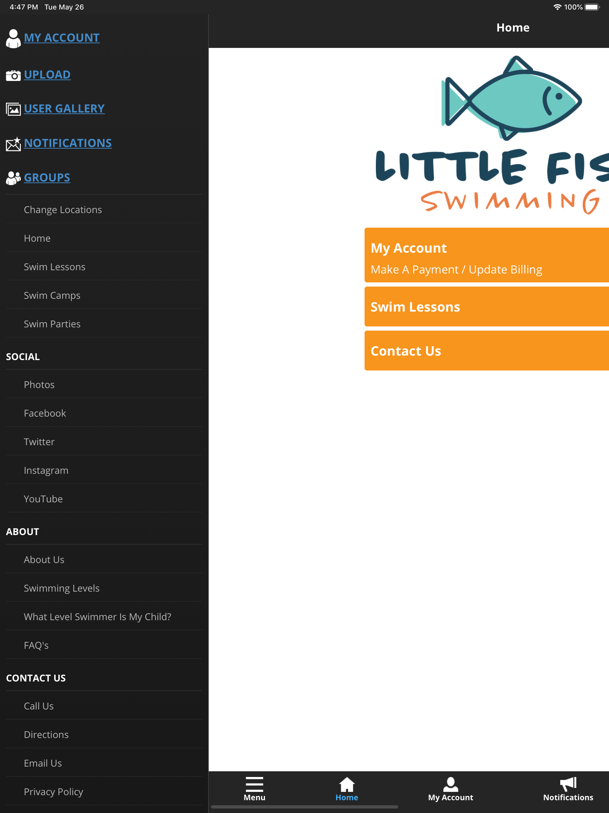 Little Fish Swimming