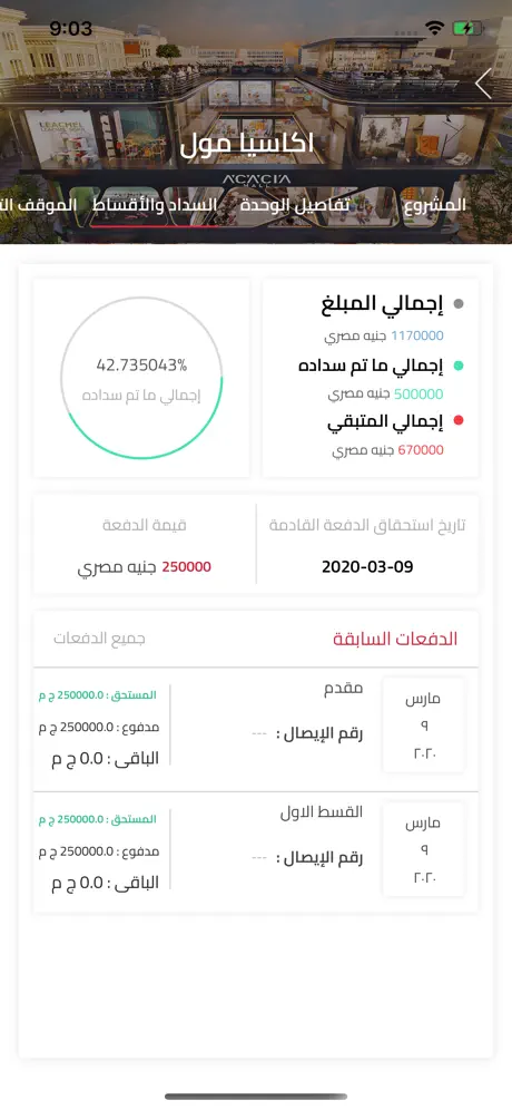 Bng Real Estate Development