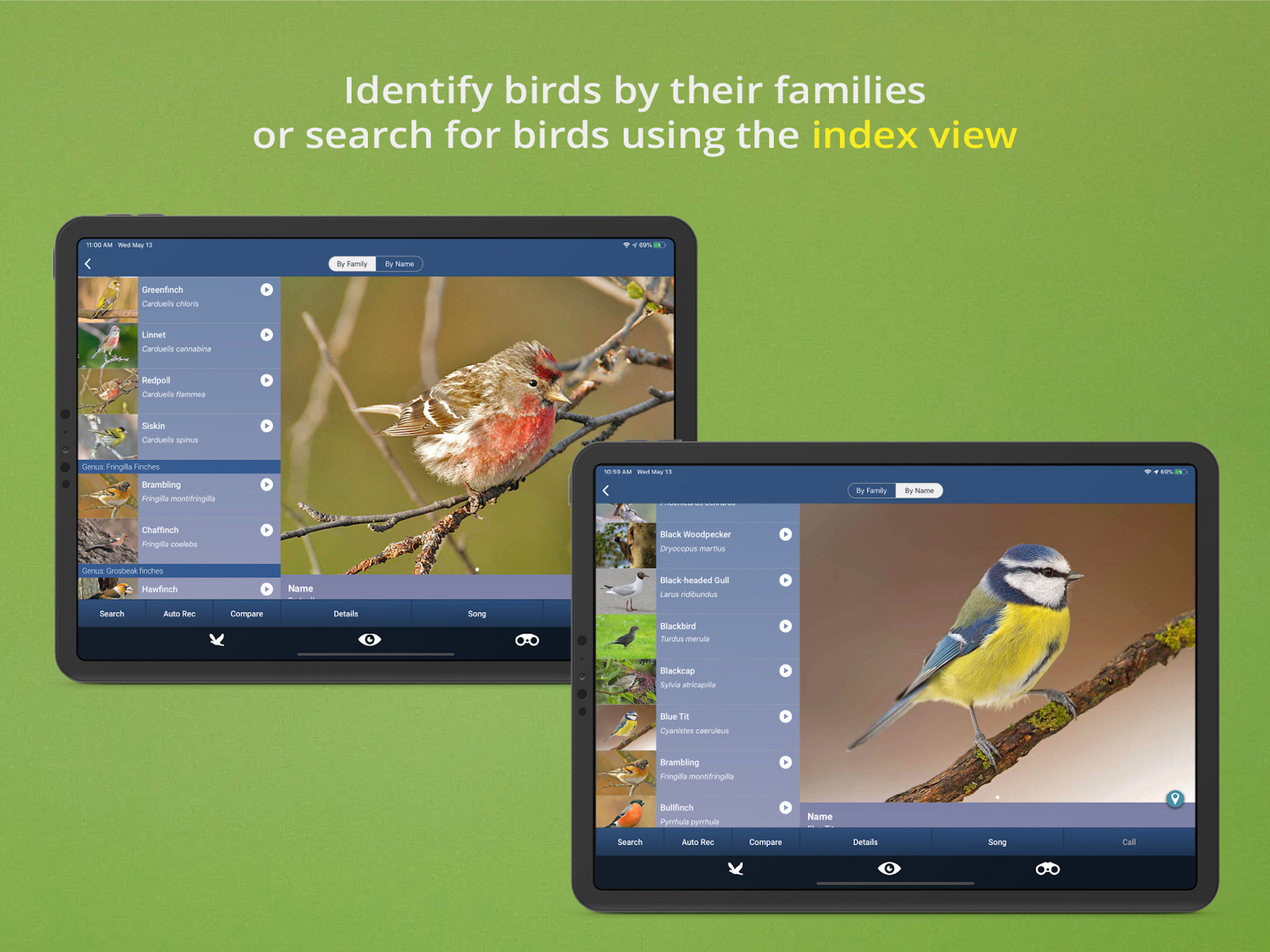 Bird Song Id UK