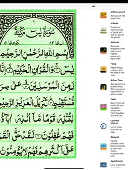 Yasin screenshot 6