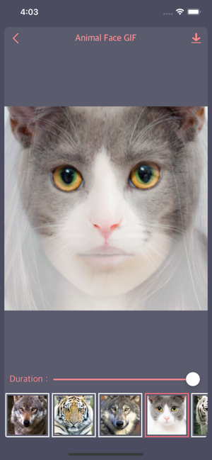Animal Face Animation(圖6)-速報App