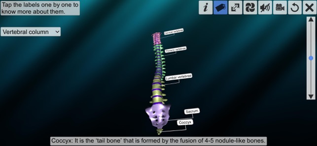Our Bony Scaffold(圖3)-速報App