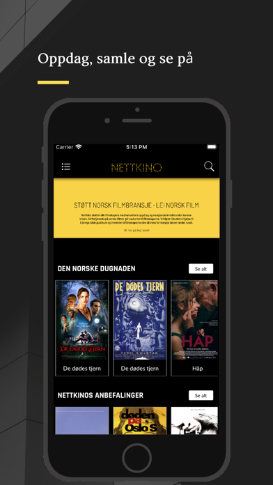 Nettkino Screenshot