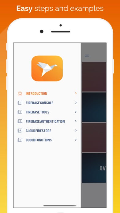 Firebase Pocket Guide Screenshot