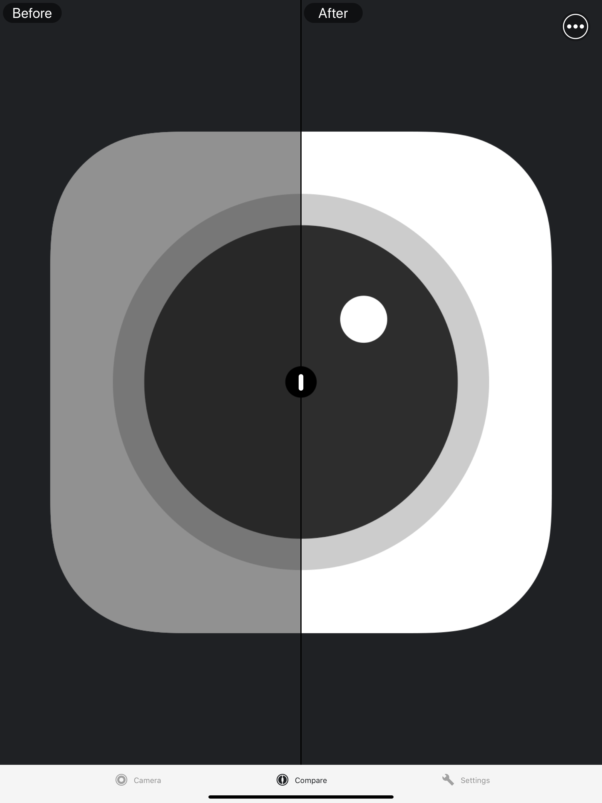 OnionSkinCapture