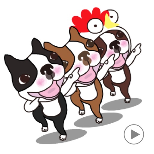 Animated Boston Terrier 2