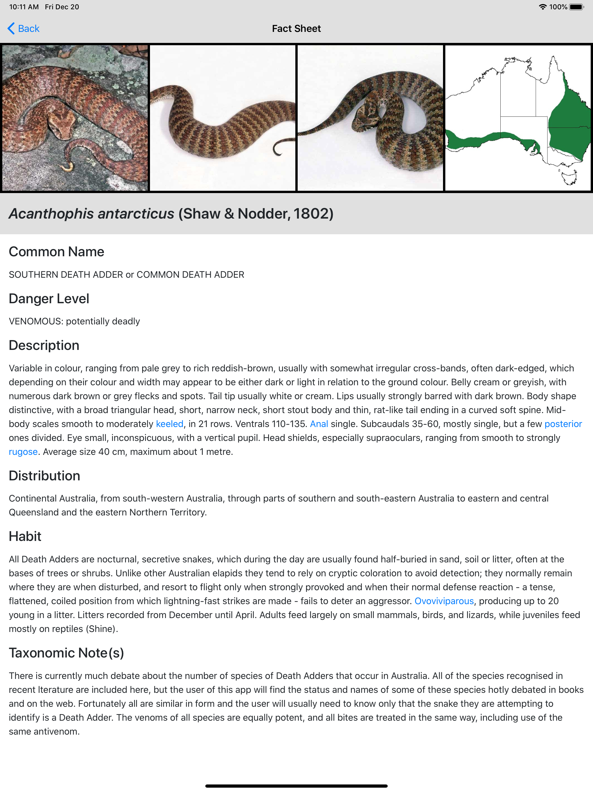 Australian Snake ID