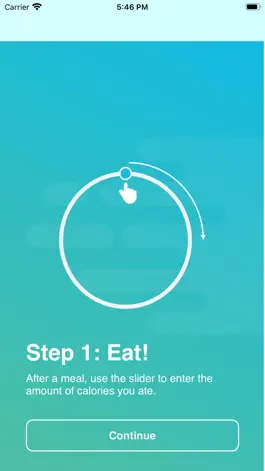 Game screenshot FastDiet - Last Meal Burner apk