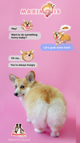 MaxiMojis - Corgi dog stickers screenshot